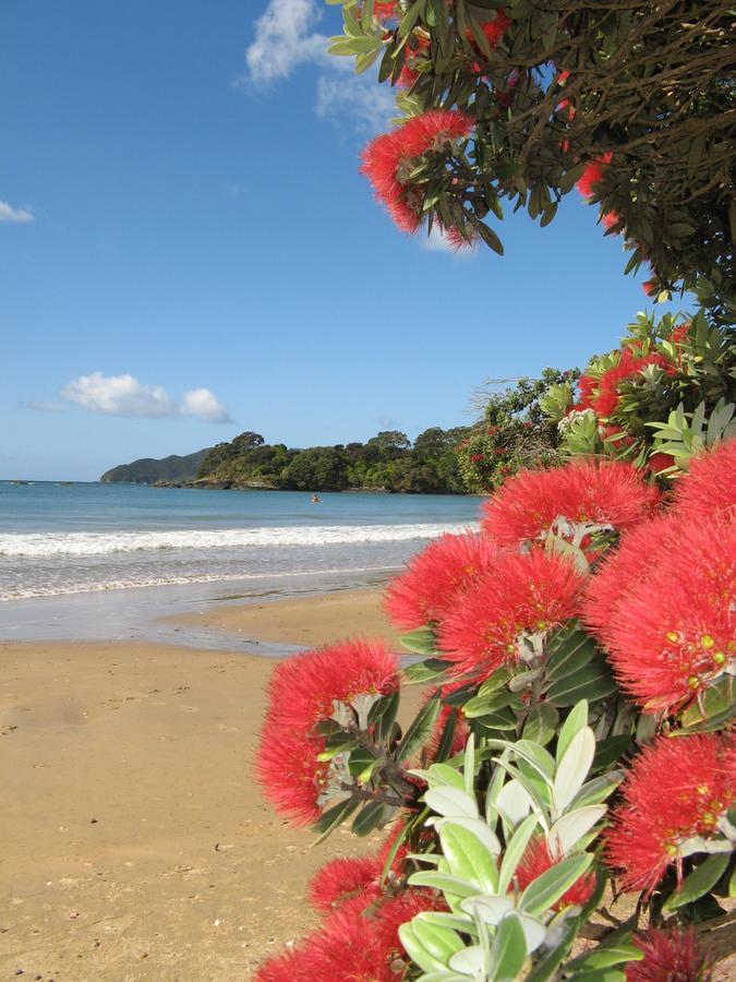 By The Bay Beachfront Apartments Taipa-Taipa-Mangonui Dış mekan fotoğraf